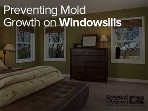 Preventing Mold Growth on Windowsills
